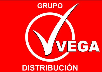 Auditoría de Seguridad y Salud en el Trabajo en Grupo Vega